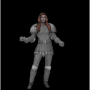 eisdrachenleder.png