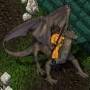 drache.jpg