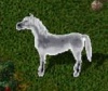 kristallpferd.jpg