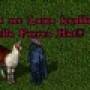 lama.jpg