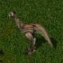 oclock.jpg
