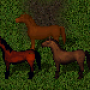 orlow.png