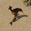 sandlaeufer.jpg