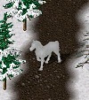 schneepferd.jpg