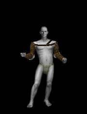 armschienen.jpg armschienen.jpg