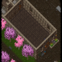 l1.png