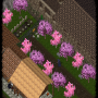 wacht.png