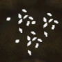 splitter.png